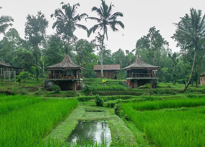 Tepi Sawah & Retreat ホリデーパーク