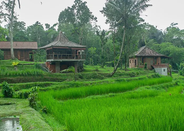 Tepi Sawah & Retreat ホリデーパーク 2*