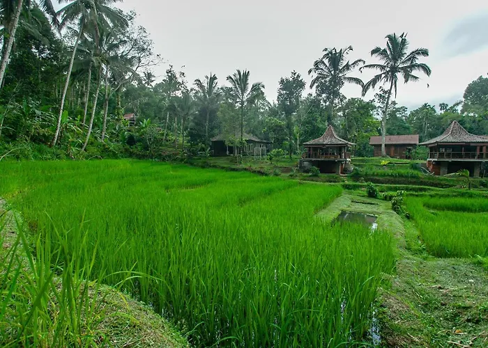 Tepi Sawah & Retreat ホリデーパーク 2*
