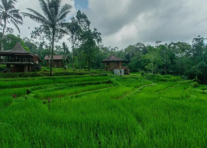 Tepi Sawah & Retreat ホリデーパーク ジャティルウィ