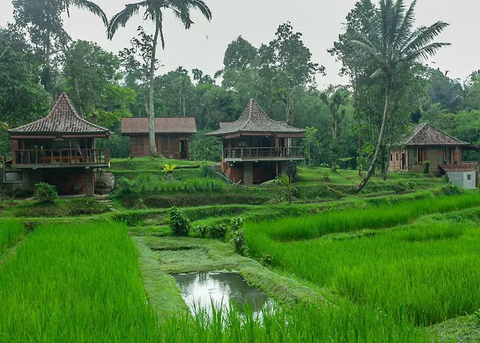 Tepi Sawah & Retreat 2* ジャティルウィ