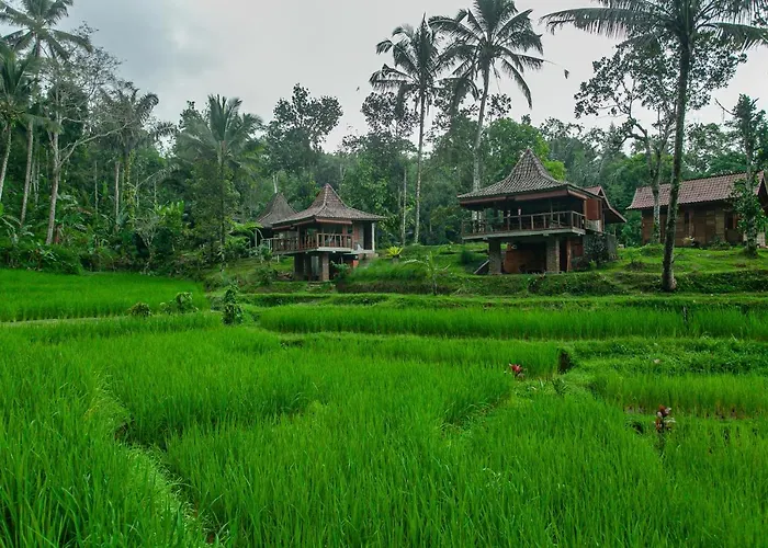 Tepi Sawah & Retreat ホリデーパーク ジャティルウィ