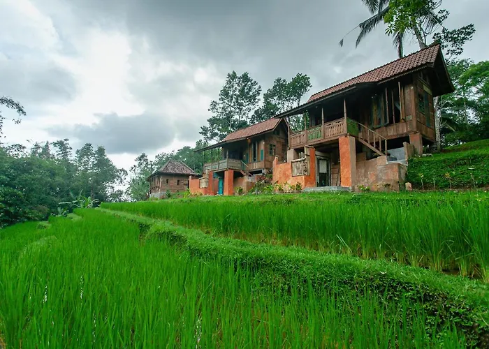 Tepi Sawah & Retreat ジャティルウィ