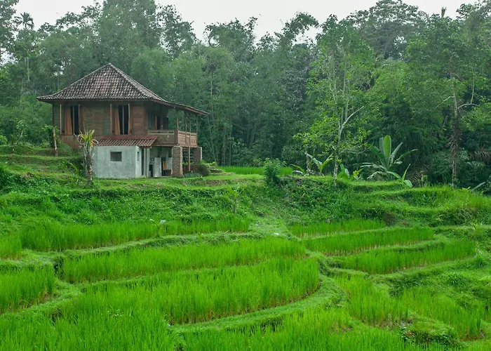 Tepi Sawah & Retreat 2* ジャティルウィ