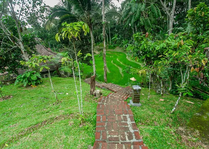 Tepi Sawah & Retreat 2* 贾蒂卢维