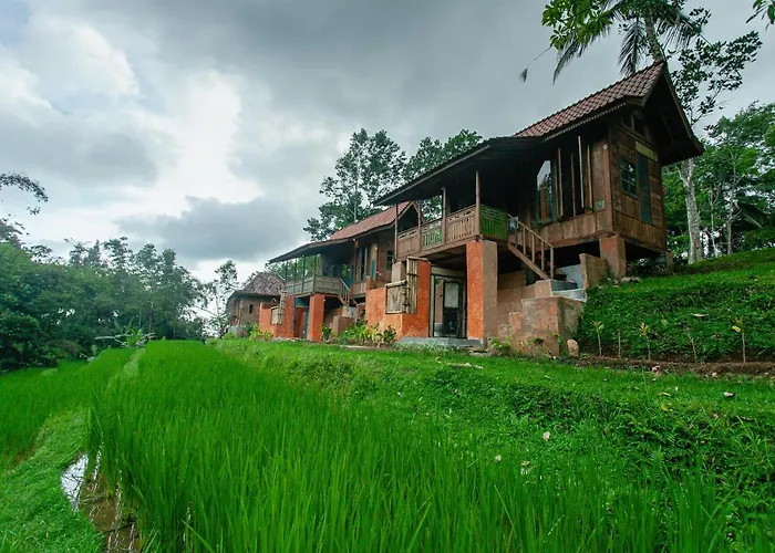 Tepi Sawah & Retreat
