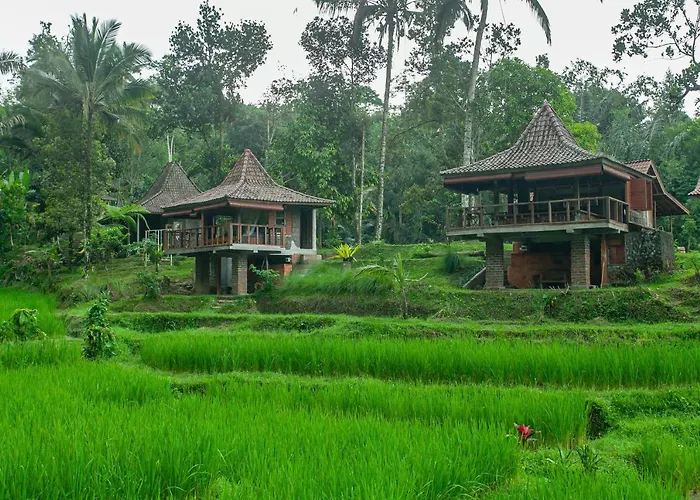 ホリデーパーク Tepi Sawah & Retreat ジャティルウィ