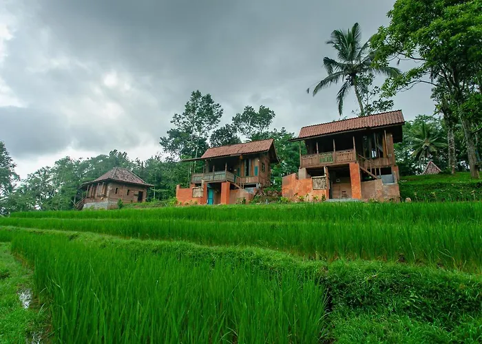 Tepi Sawah & Retreat 2*