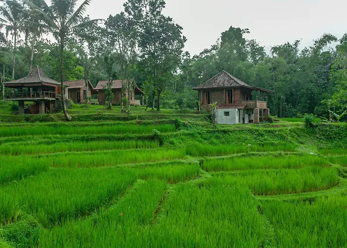 Tepi Sawah & Retreat ジャティルウィ