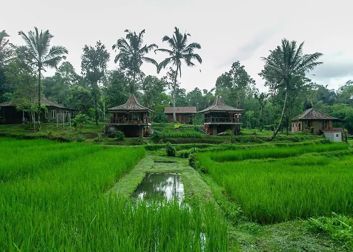 Tepi Sawah & Retreat ホリデーパーク 2*