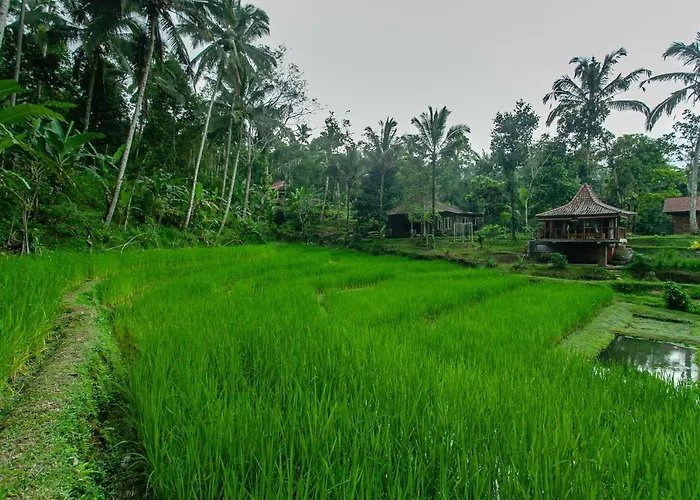Tepi Sawah & Retreat 假日公园