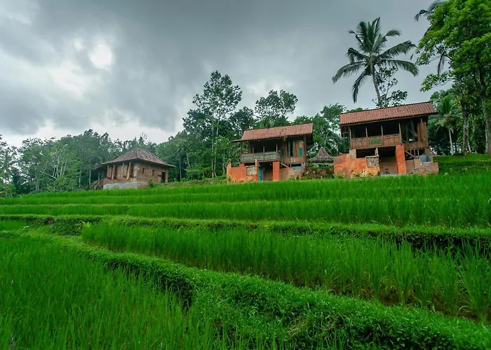 Tepi Sawah & Retreat 2*