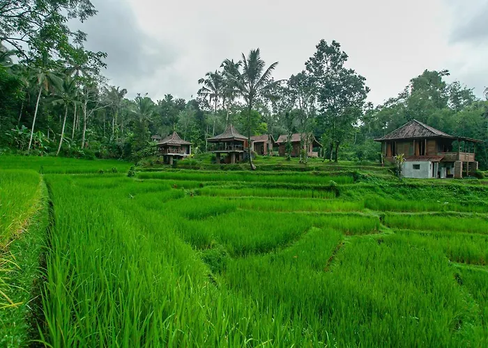 Tepi Sawah & Retreat ジャティルウィ