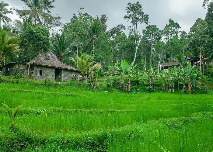 Tepi Sawah & Retreat ジャティルウィ
