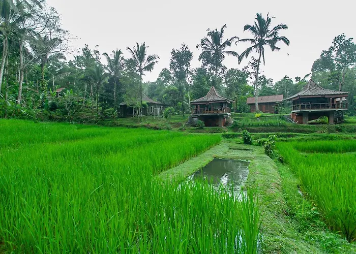 Tepi Sawah & Retreat ホリデーパーク 2*