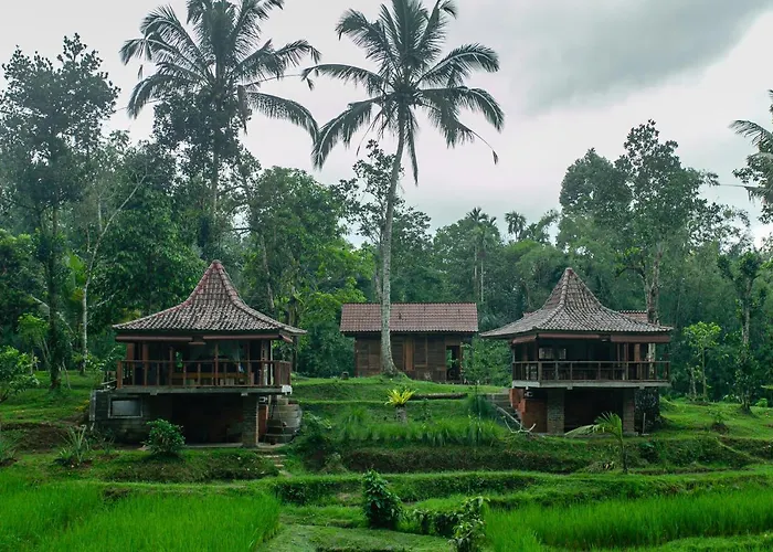 Tepi Sawah & Retreat