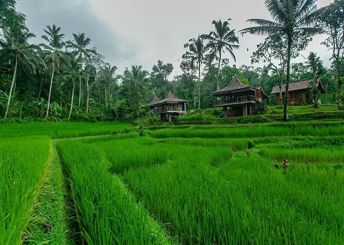 Tepi Sawah & Retreat