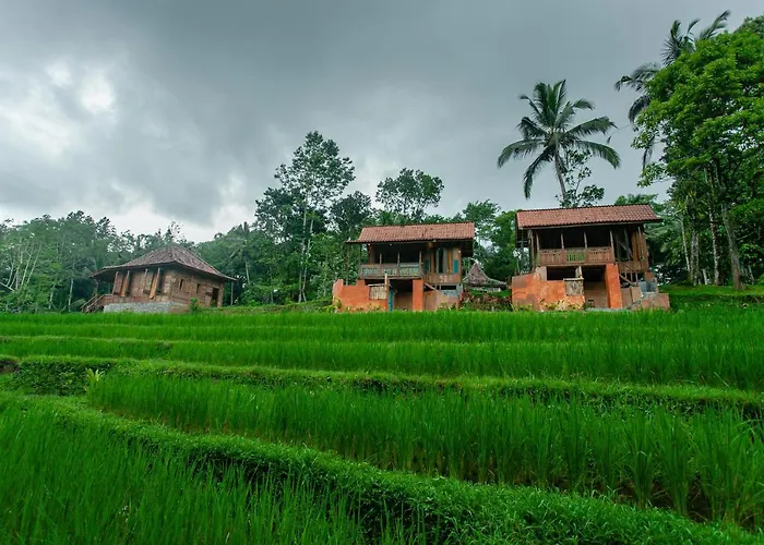 Tepi Sawah & Retreat 贾蒂卢维