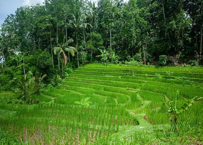 Tepi Sawah & Retreat