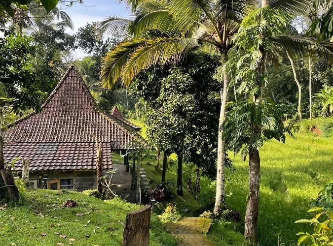Tepi Sawah & Retreat 2* 贾蒂卢维